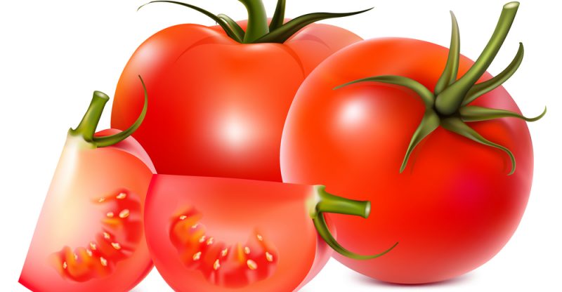 فوائد الطماطم وأهميتها لصحة الجسم