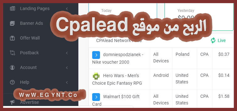 الربح من موقع cpalead